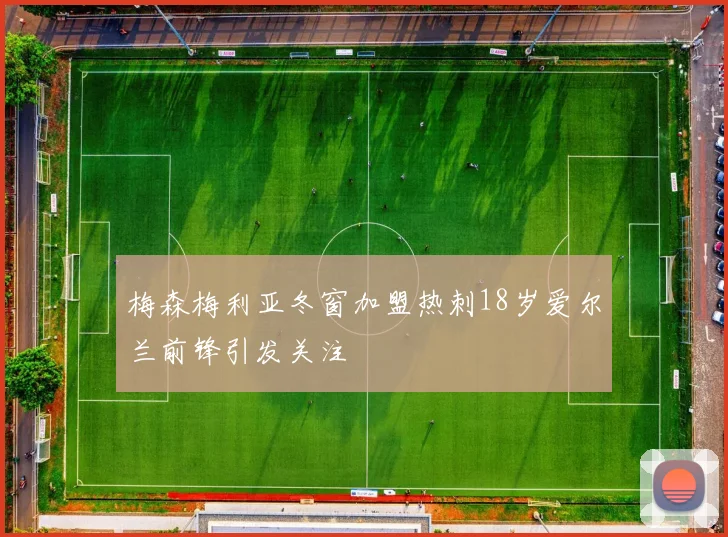 梅森梅利亚冬窗加盟热刺18岁爱尔兰前锋引发关注