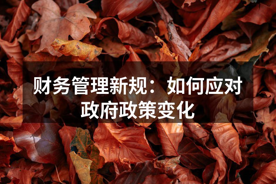 财务管理新规：如何应对政府政策变化