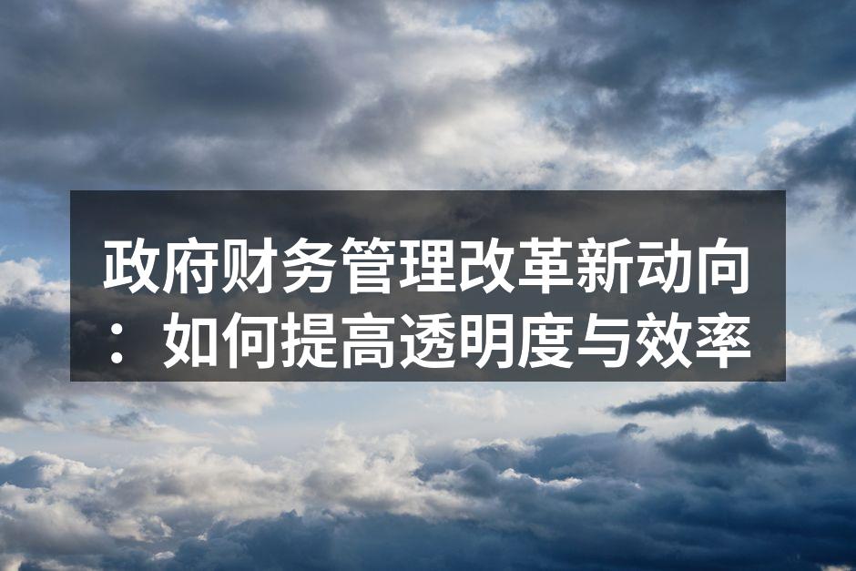 政府财务管理改革新动向：如何提高透明度与