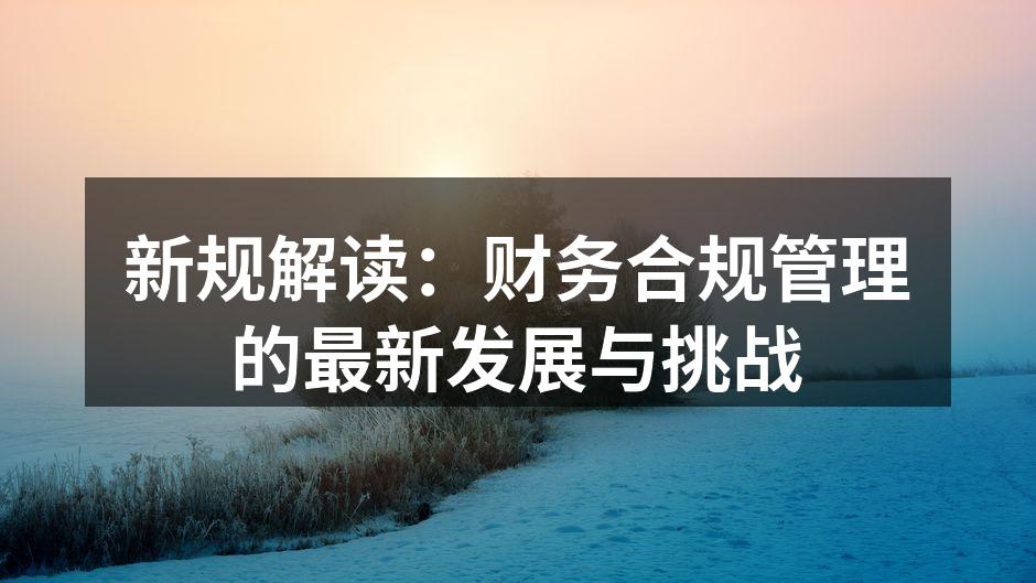 新规解读：财务合规管理的最新发展与挑战